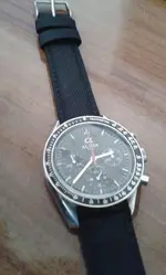 Gecko  ALPHA MOONWATCH 002.webp