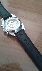 Gecko  ALPHA MOONWATCH 003.webp