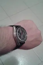 Gecko  ALPHA MOONWATCH 005.webp