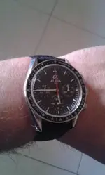 Gecko  ALPHA MOONWATCH 006.webp