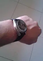 Gecko  ALPHA MOONWATCH 007.webp