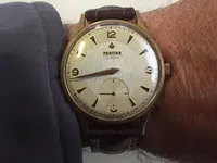 Festina.webp