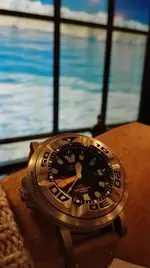 IMG_20170110_124419_1.webp