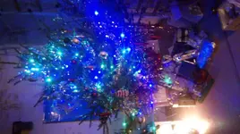 20161231_180237.webp