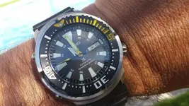 Seiko Baby Tuna 200m.webp
