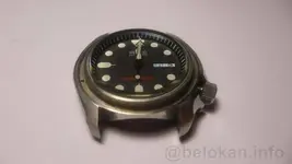 skx007-.webp
