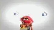 muppet.webp