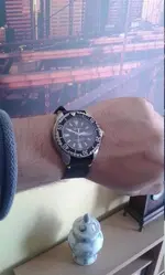 GECKOTA DZ1 PROFESSIONAL DIVER 022.webp