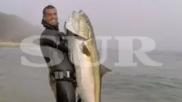 danieacedosubmarinismo.webp