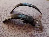DSCN0559.webp