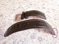 DSCN0558.webp