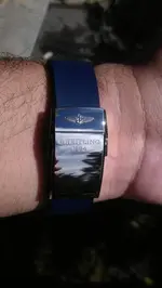 imag2291z.webp