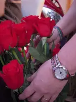 DSCN8552-2.webp