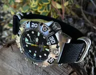 Orient OS200 tree 28-03-2011 2.webp