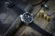 Geckota ZD1 010.webp
