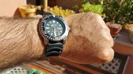 Geckota ZD1 02.webp
