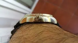Geckota ZD1 05.webp