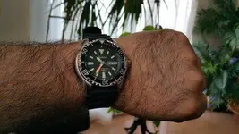 Geckota ZD1 07.webp