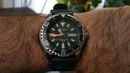 Geckota ZD1 09.webp