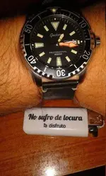 GECKOTA DZ1 PROFESSIONAL DIVER 030.webp