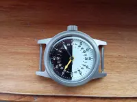 1000011181.webp