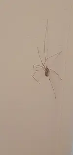 20240913_224317.webp