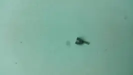 20170202_210412.webp 20170202_210412.webp