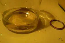 Bisel VOSTOK 1017.webp