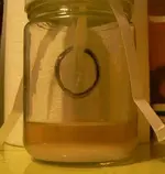 Bisel VOSTOK 1018.webp