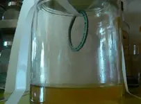 Bisel VOSTOK 1019.webp