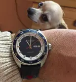 16129601_10210186175425365_1149812879_o.webp