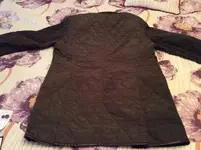 image.webp