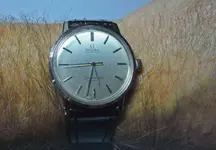 P1070779.webp