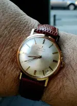 Zenith.webp