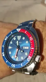 tortuga padi.webp tortuga padi.webp