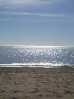 CAM00124.webp