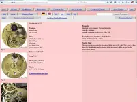 zenith.webp