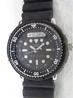 SeikoH558-5009Arniedial.webp