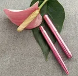 FullSizeRender 5.webp FullSizeRender 5.webp