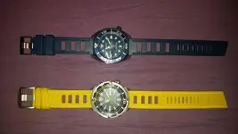 IMG-20170209-WA0044.webp