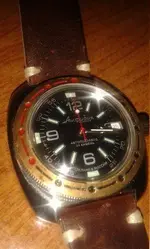 Vostok huevo 06.webp