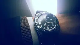 20170210_071747.webp