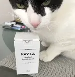 FullSizeRender 3.webp