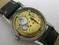 enicar2.webp