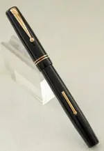 08 SWAN SELF FILLER NEGRA  19.webp