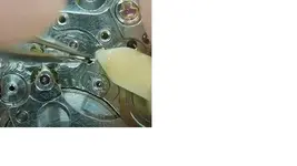 Sin título.webp