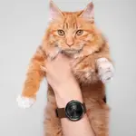 Que gata hermosa.webp