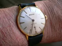 P1050028.webp