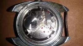 IMG-20170222-WA0009.webp IMG-20170222-WA0009.webp