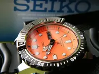 DSCF4409.webp